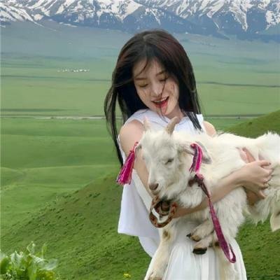 我的疯狂书迷
